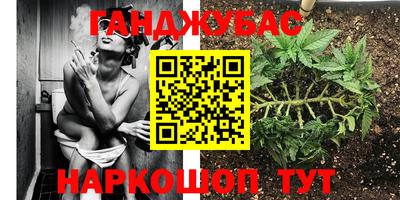 эйфоретик Берёзовский