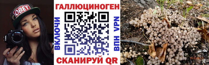 Псилоцибиновые грибы мухоморы  blacksprut ТОР  Выборг 
