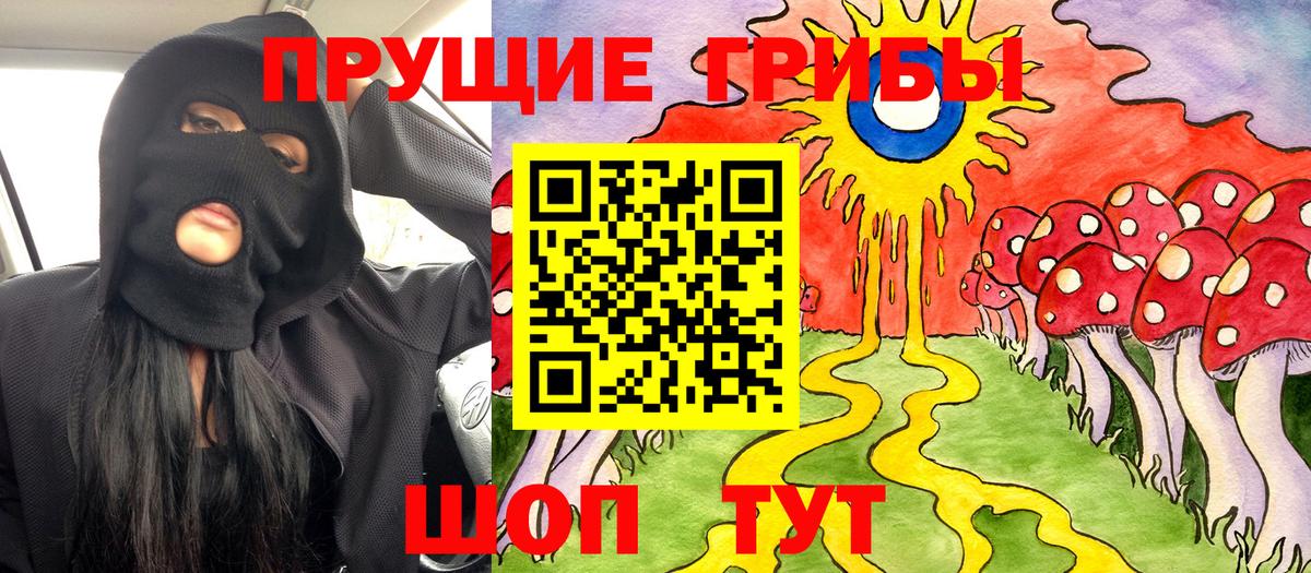 Галлюциногенные грибы Psilocybine cubensis Выборг
