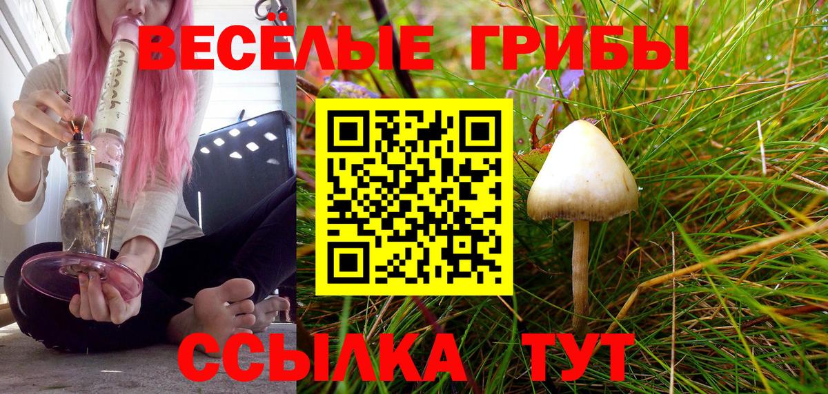 Псилоцибиновые грибы Magic Shrooms  Вход с VPN  Выборг 